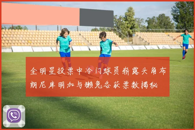 全明星投票中冷门球员崭露头角布朗尼库明加与獭兔各获票数揭秘